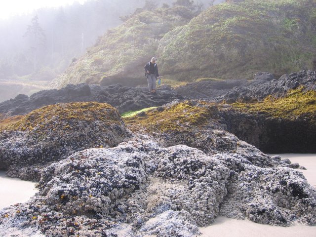 Foggy Beginning